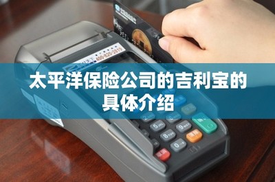 太平洋保险“吉利宝”电子支付系统 一站式保险服务与便捷支付的融合创新